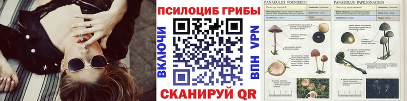 Псилоцибиновые грибы мухоморы  Кубинка 