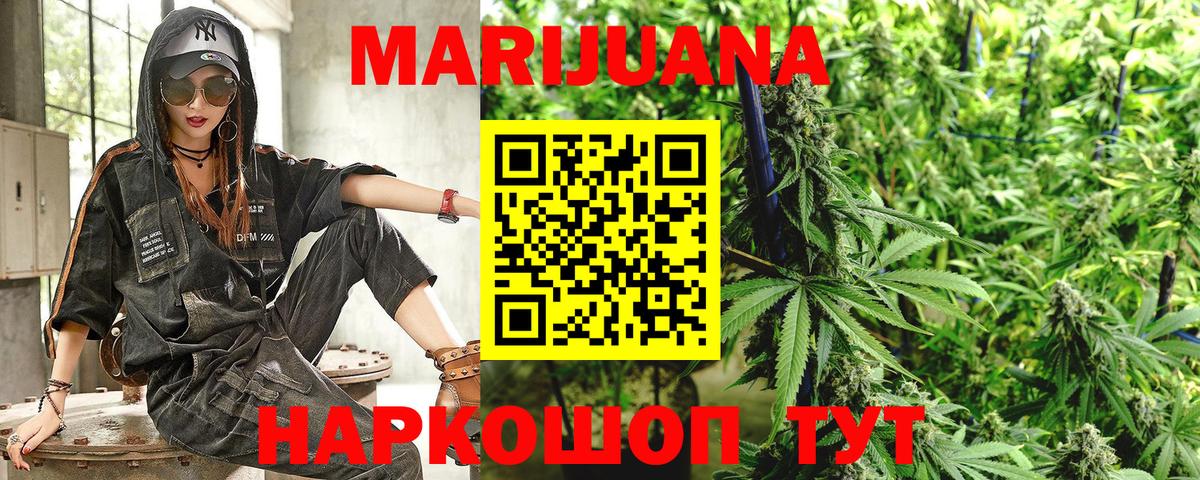 Конопля конопля  МАРИХУАНА сатива  Кубинка  Конопля гибрид  Вход с VPN 